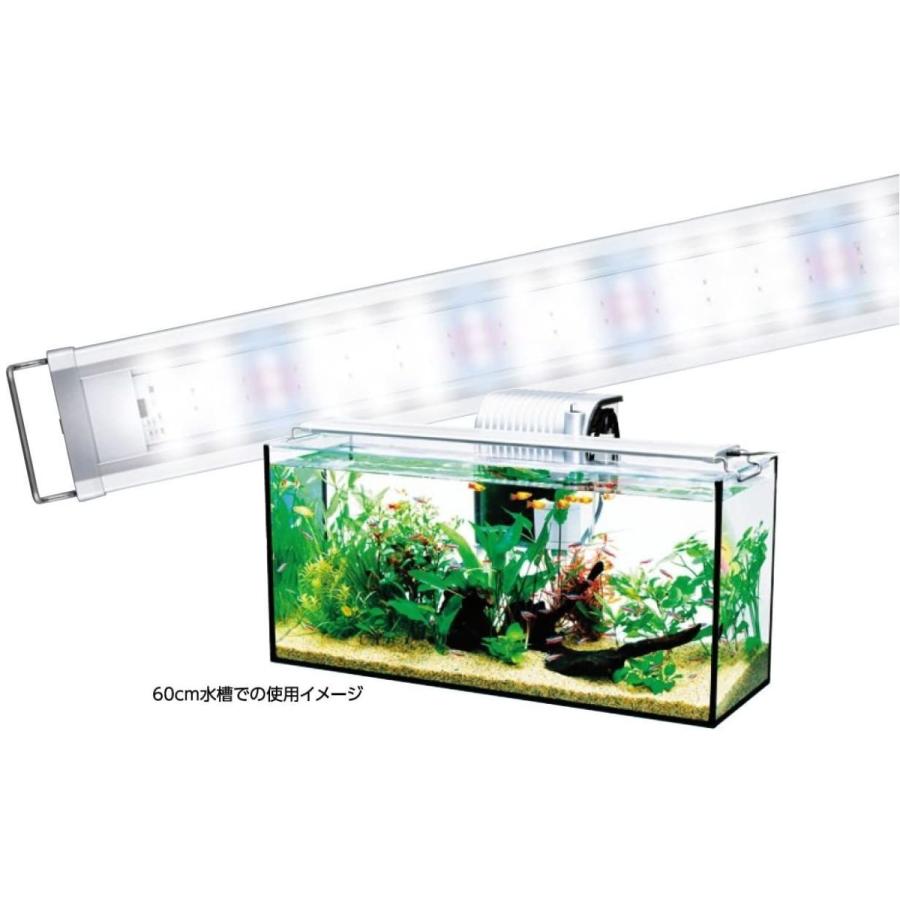ファッション通販 テトラ Tetra パワーｌｅｄライト ６０ M サイズ Materialworldblog Com