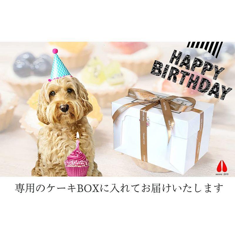 PHI SHOP 犬用ケーキ イチゴ 誕生日 犬 ケーキ シャルロット お祝い