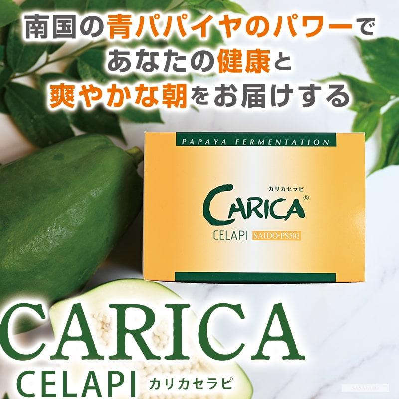 カリカセラピ 100包 青 パパイヤ 酵素 乳酸菌 化学物質 無添加 カリカセラピ 100包 青 パパイヤ 酵素 乳酸菌 化学物質 無添加