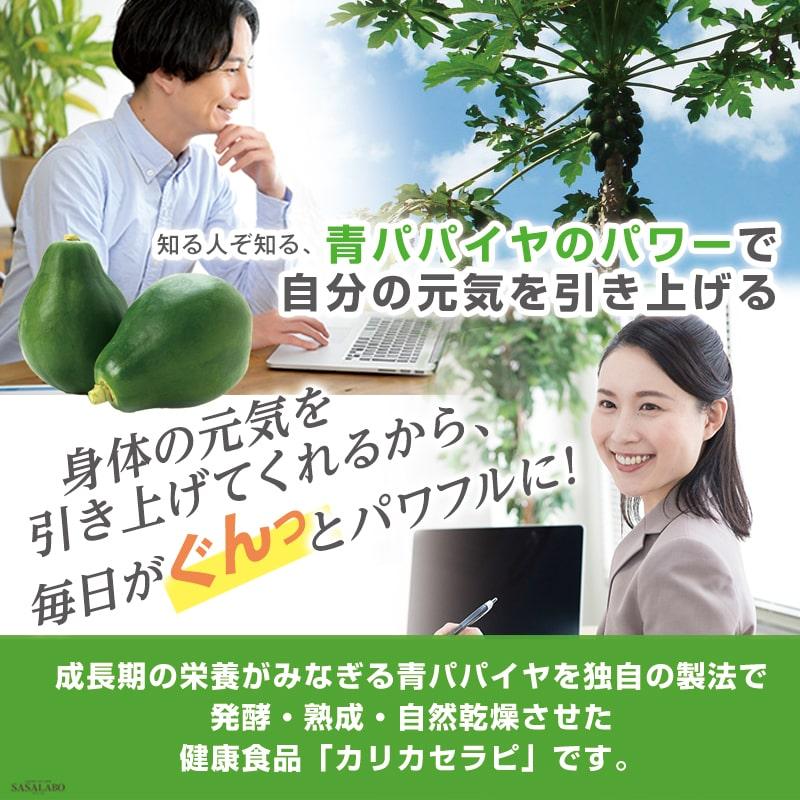 カリカセラピ 100包 青 パパイヤ 酵素 乳酸菌 化学物質 無添加 カリカセラピ 100包 青 パパイヤ 酵素 乳酸菌 化学物質 無添加
