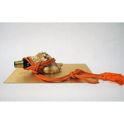 法螺貝（ガラスケース入り） : 燕市銅製品専門ささげ商事ヤフー店