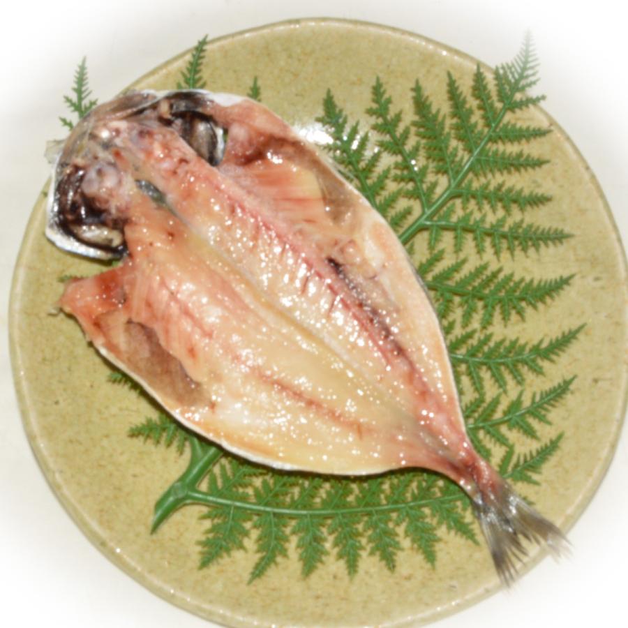 即納 333i 送料込み干物9枚セット 上トロあじトロさばイワシ各3枚 お中元父の日ギフトお取り寄せ送料無料鯵あじ鰯いわしサバみりん干しひもの詰め合わせランキング Materialworldblog Com