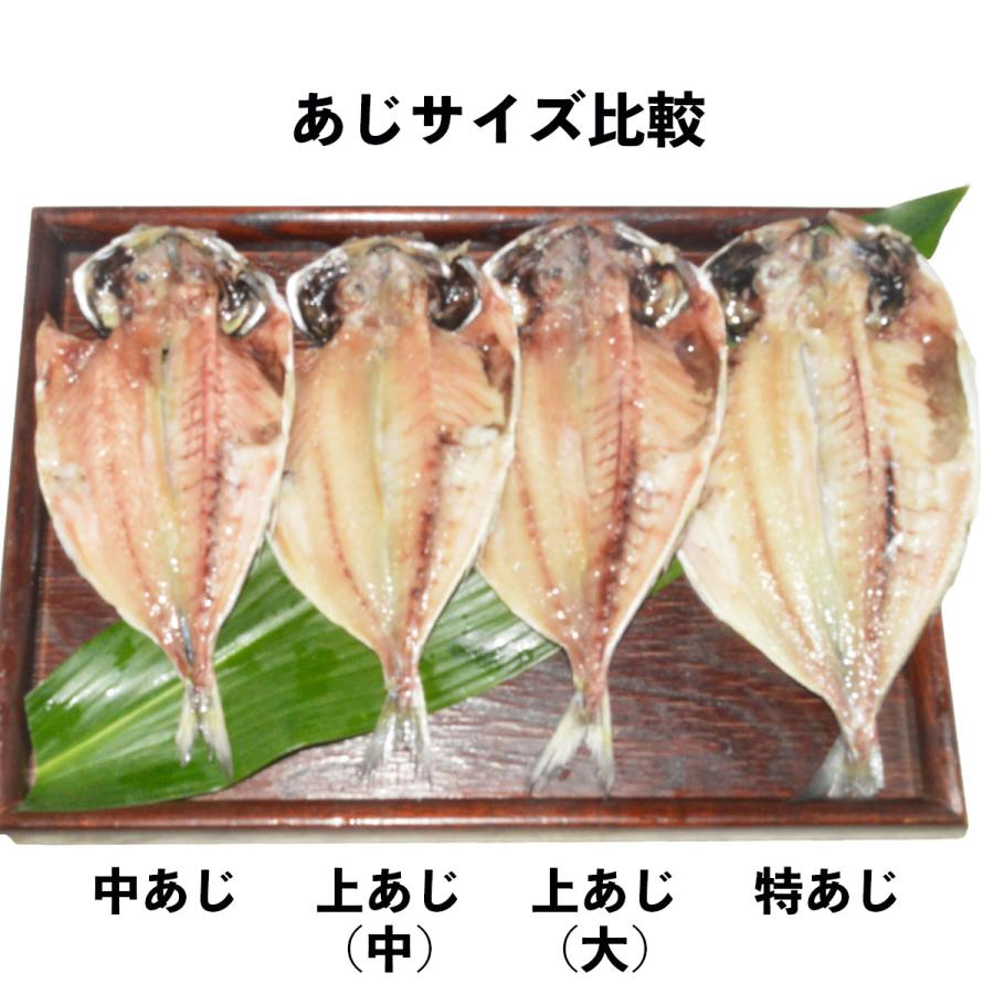 上トロあじ(大)真鯵の干物一枚バラ売り 送料込みひものセットの枚数調整や金目鯛(キンメダイ)・トロ鯖(サバ )とあわせてオリジナルの詰め合わせにも｜sasaki-kaisan｜02