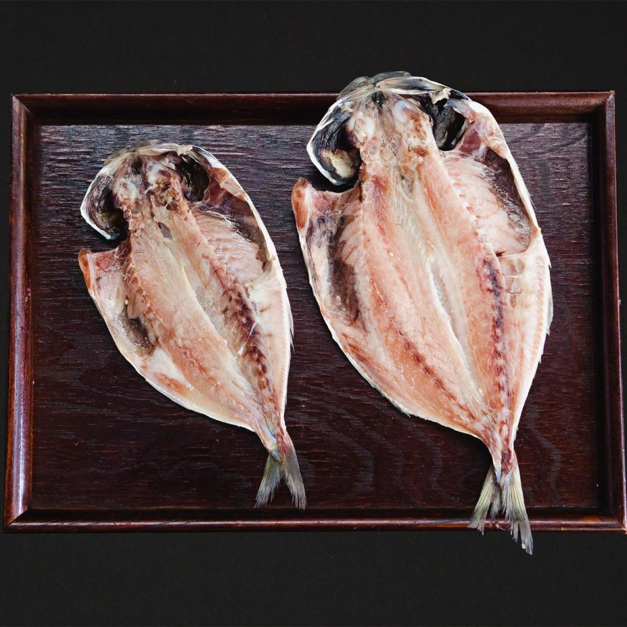 平蔵の鯵7枚セット 送料込み 特上トロあじ 母の日ギフト父の日お歳暮お中元お取り寄せ送料無料干物詰め合わせひものアジランキング Hhsk1 ひもの 佐々木海産yahoo 店 通販 Yahoo ショッピング
