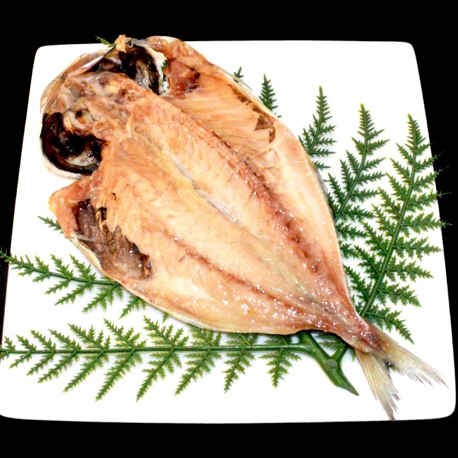 大島b 送料込み干物6枚セット 金目鯛特上トロあじ 父の日ギフトお歳暮お中元お取り寄せ 送料無料キンメきんめ鯵アジひもの詰め合わせランキング Ooshimab ひもの 佐々木海産yahoo 店 通販 Yahoo ショッピング