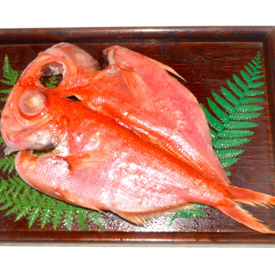 大島b 送料込み干物6枚セット 金目鯛特上トロあじ 父の日ギフトお歳暮お中元お取り寄せ 送料無料キンメきんめ鯵アジひもの詰め合わせランキング Ooshimab ひもの 佐々木海産yahoo 店 通販 Yahoo ショッピング