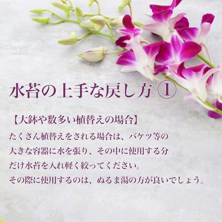 水苔 ニュージーランド産 150g 1個 AAA ニュージーランド ミズゴケ