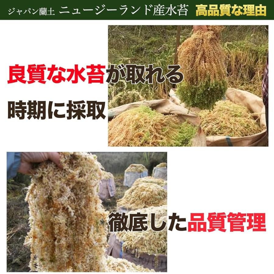 ✨１個【AAAA1】水苔　ミズゴケ　ニュージーランド産　AAA 240L 水苔 ニュージーランド産 150g 1個 AAA ニュージーランド ミズゴケ