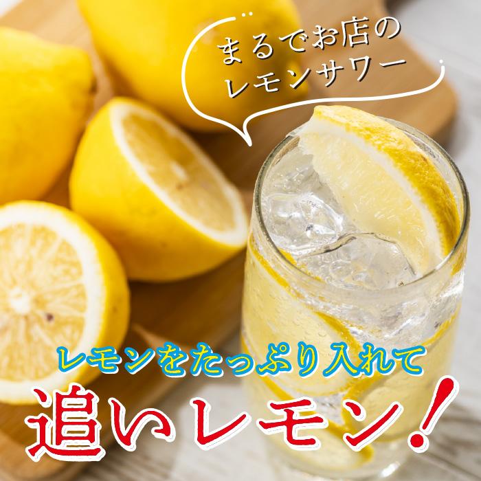 檸檬堂 炭酸割りセット コカ・コーラ うちわりレモン 25度 300ml 檸檬堂 炭酸割りセット コカ・コーラ うちわりレモン 25度 300ml