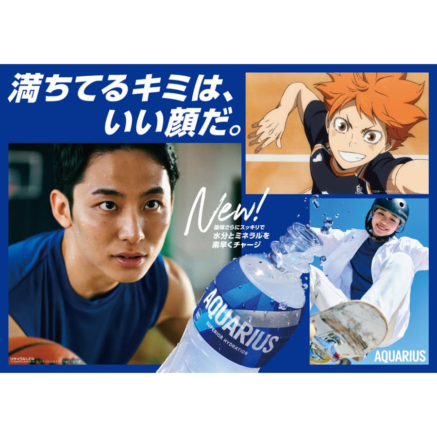 アクエリアス 300ml PET 1ケース（24本入）送料無料 スポーツ飲料