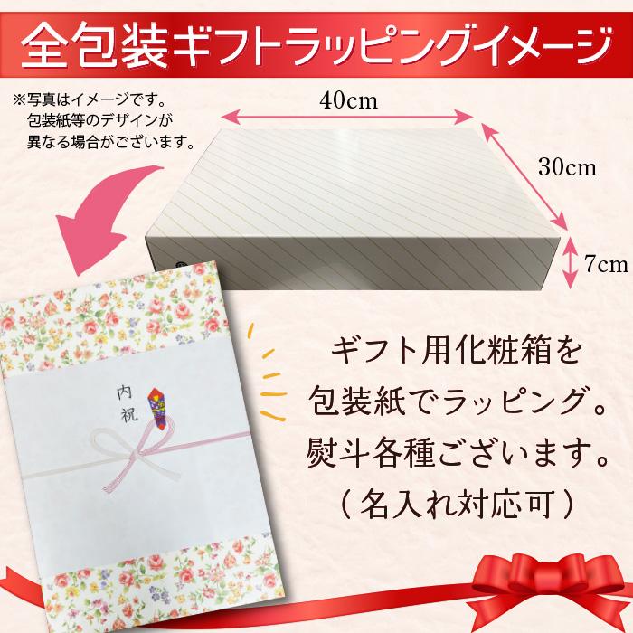 いいちこスペシャル ギフト プレミアムハイボール2種セット（陸ハイ