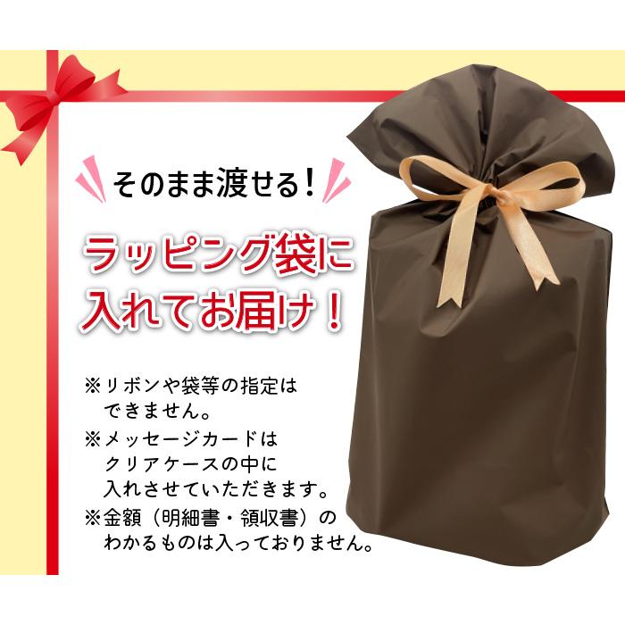 ギフト キリン 一番搾り 350ml 1本 + 柿の種チョコ 1個 プチギフト プレゼント 母の日 父の日｜sasapark｜08