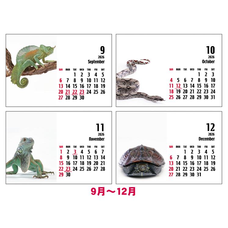 2026年（令和8年）版卓上カレンダー『Gwahhh！』〜マニアック