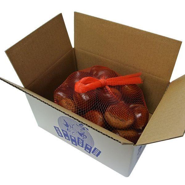 丹波篠山産 丹波栗（大粒2L・3L）1kg : 篠山食料品店 - 通販