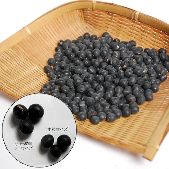 丹波黒豆丹波篠山産（黒大豆）アウトレット/生 （未選別品、小粒）300g