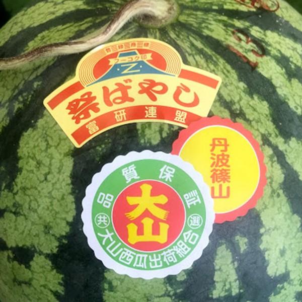 丹波篠山 大山スイカ ６〜７kg