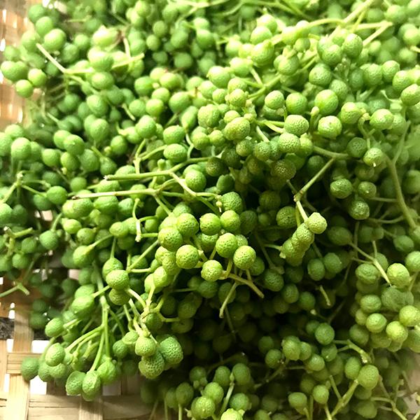 丹波篠山産　山椒の実　大容量　２kg 実山椒（生）1kg 丹波市・丹波篠山市産 : 篠山食料品店 - 通販 - Yahoo