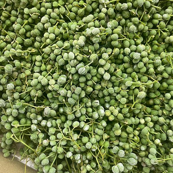 冷凍 丹波実山椒（下処理無し） 500g : 篠山食料品店 - 通販 - Yahoo
