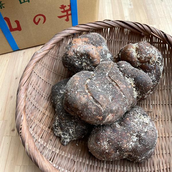 丹波山の芋(丹波篠山産）優品大箱入り8kg : 篠山食料品店 - 通販