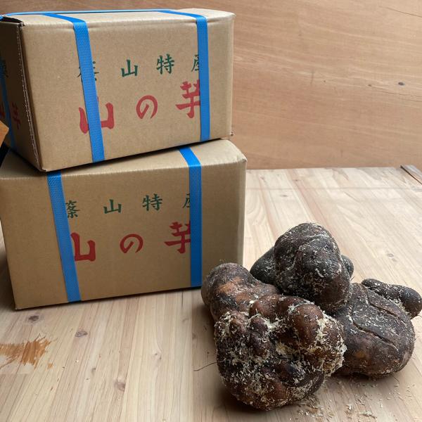 丹波山の芋(丹波篠山産）優品 箱入り贈答3kg : 篠山食料品店 - 通販