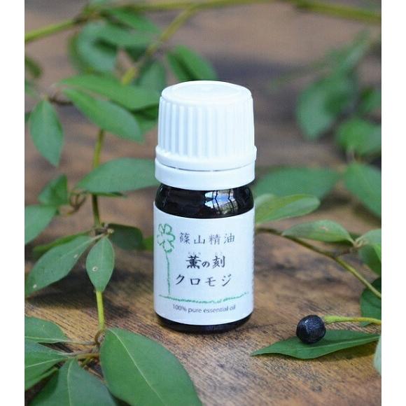 クロモジ芳香蒸留水 フローラルウォーター ハーブウォーター 篠山精油 クロモジ 黒文字 100ml 13円 税込 送料無料 クロモジウォーター ささやまビーファーム ヤフー店 通販 Yahoo ショッピング