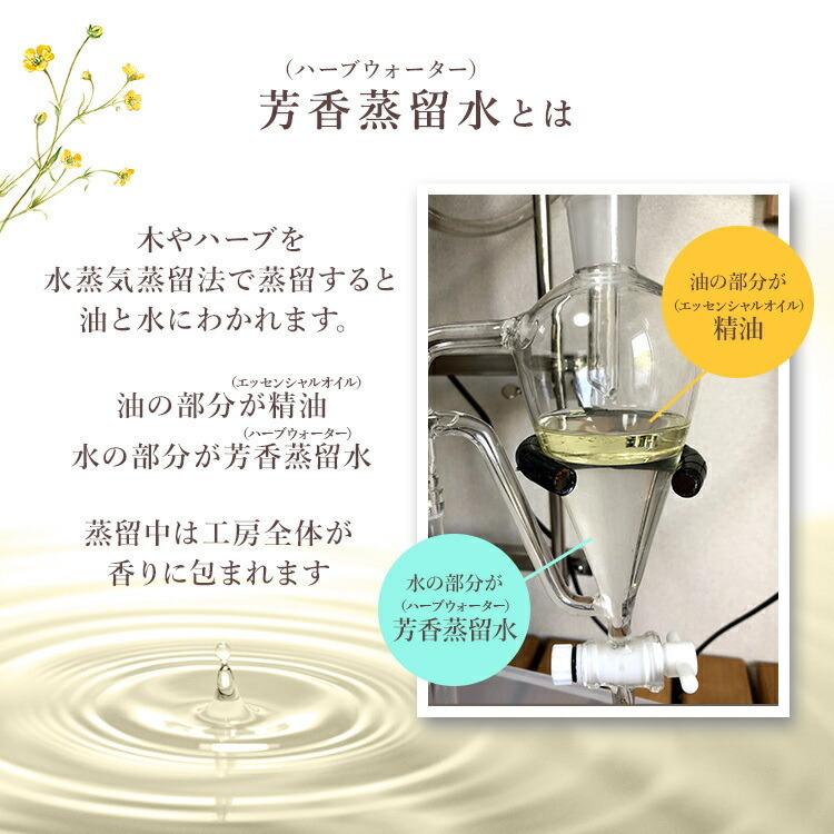 ローズマリーウォーター ローズマリー芳香蒸留水 フローラルウォーター ハーブウォーター 篠山精油 100ml 13円 税込 送料無料 ささやまビーファーム ヤフー店 通販 Yahoo ショッピング