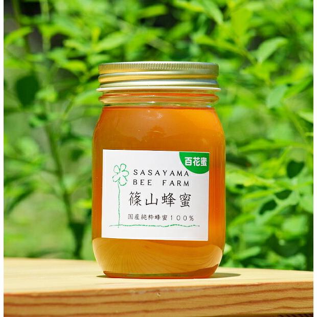 丹波篠山で採れた１００％天然の生ハチミツ 内祝い 篠山蜂蜜 百花蜜 z08 500g 送料無料お手入れ要らず