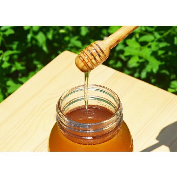 丹波篠山産 生はちみつ 非加熱 篠山蜂蜜 1,296円〜 丹波栗蜜 百花蜜