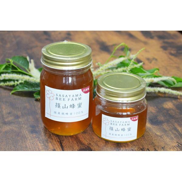 （丹波篠山で採れた１００％天然の生ハチミツ　篠山蜂蜜　丹波栗　500g z06
