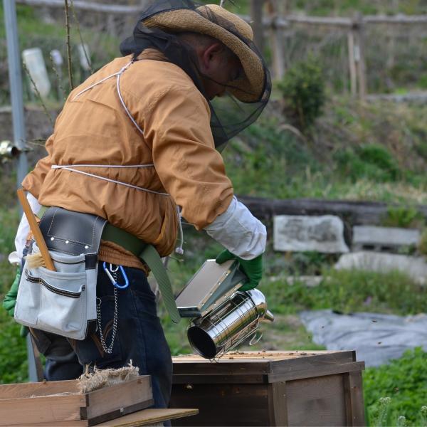 （丹波篠山で採れた１００％天然の生ハチミツ　篠山蜂蜜　丹波栗　500g z06