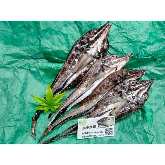 八角4尾 魚 小樽産 Sashimi23 畠中魚類さしみ屋 通販 Yahoo ショッピング