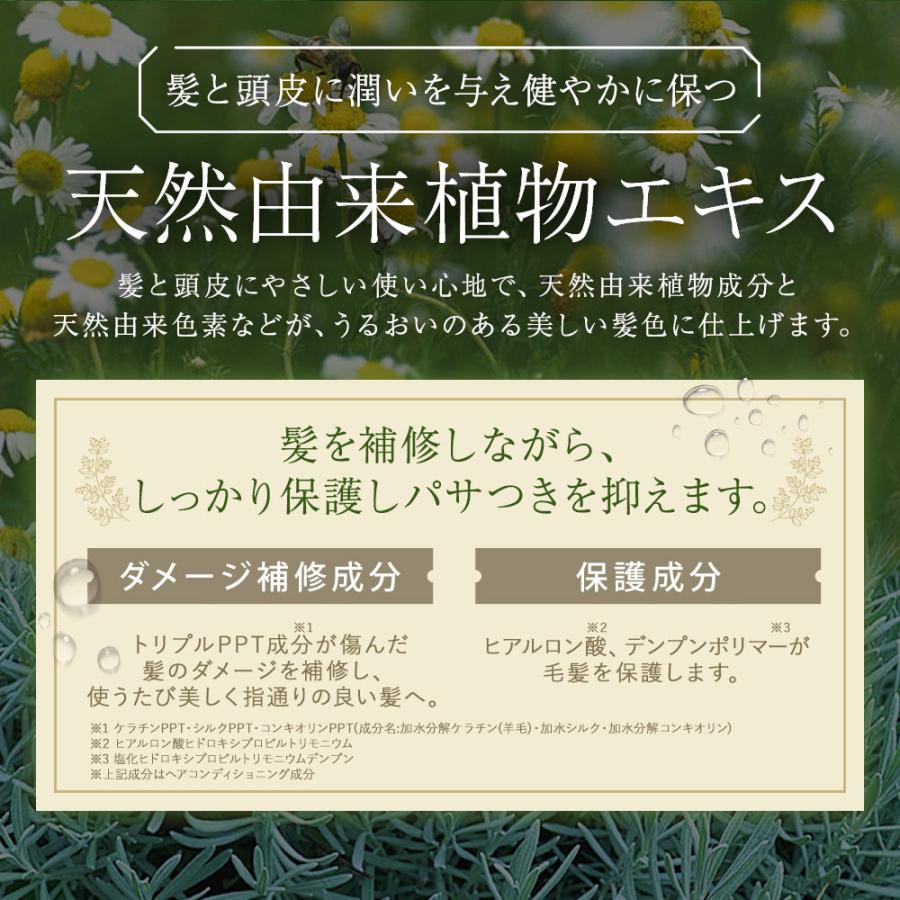 無添加 白髪用 利尻ヘアカラートリートメント 2本セット 毛染めブラシ(馬毛緑)1本付き 男女兼用 白髪染め ヘアケア 全体染め 部分染め サスティ 送料無料｜sastty-y｜11