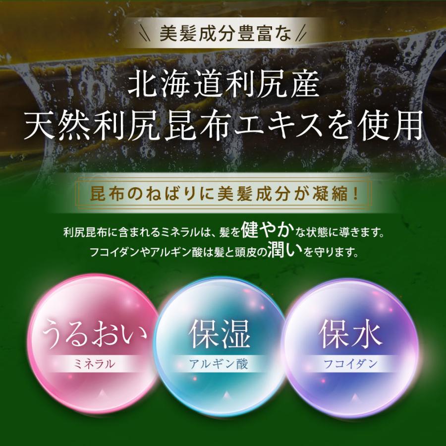 自然派clubサスティ 白髪染め ［白髪用］利尻ヘアカラートリートメント
