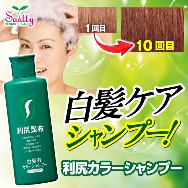 白髪用 シャンプー 無添加 利尻カラーシャンプー 1本 女性用 ブランド買うならブランドオフ サスティ 男性用 白髪染め