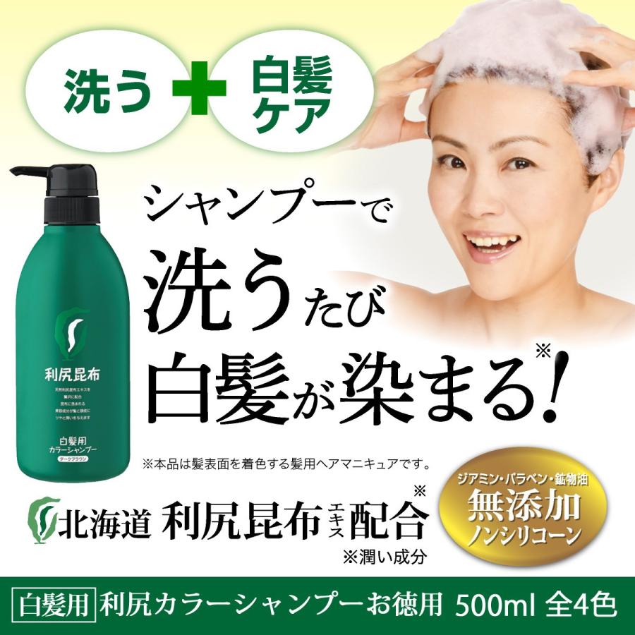 白髪用 シャンプー『無添加 白髪用 利尻カラーシャンプー お徳用500ml』（女性用 男性用 白髪染め） 送料無料 :163010:ピュール