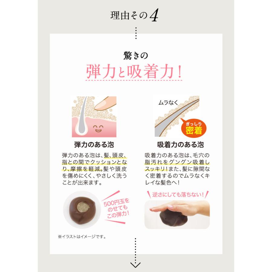 再入荷 ピュール公式ショップ Yahoo 店白髪用 シャンプー 無添加 白髪用 利尻炭酸カラーシャンプー 1本 女性用 男性用 白髪染め サスティ Marianadaaldeia Adv Br