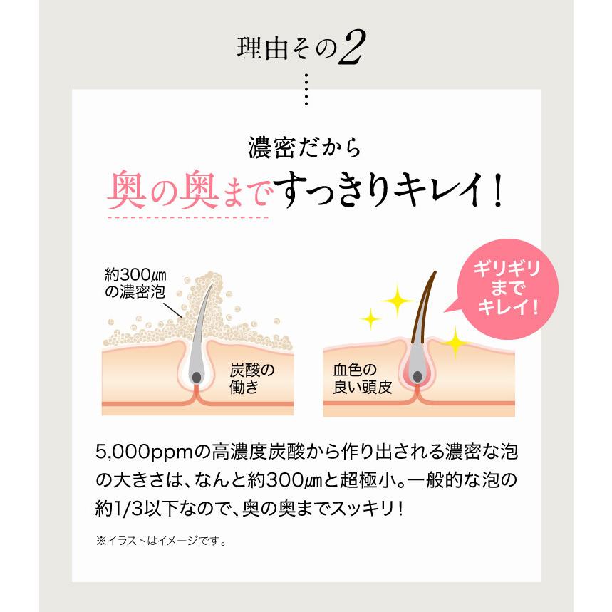 再入荷 ピュール公式ショップ Yahoo 店白髪用 シャンプー 無添加 白髪用 利尻炭酸カラーシャンプー 1本 女性用 男性用 白髪染め サスティ Marianadaaldeia Adv Br