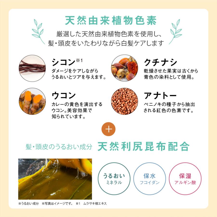 カラーシャンプー 専用ボトル+詰め替え用 240ml セット 無添加