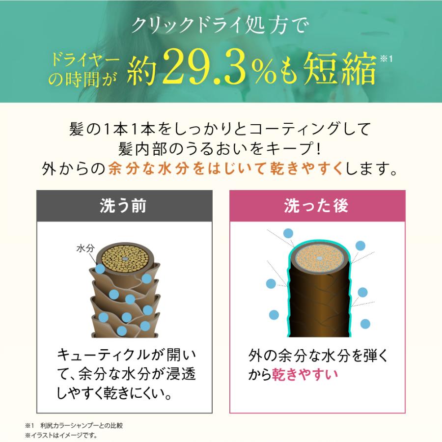カラーシャンプー 専用ボトル+詰め替え用 240ml セット 無添加