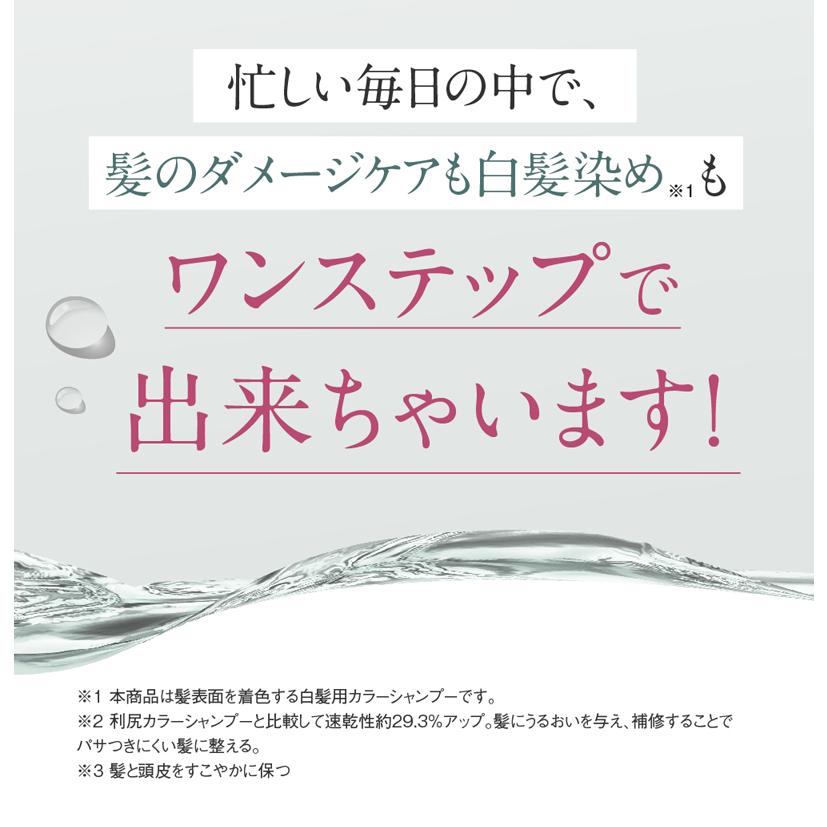 リシリアフレル RISHIRIA Furel カラーシャンプー 専用ボトル+詰め替え用パウチセット｜sastty-y｜08