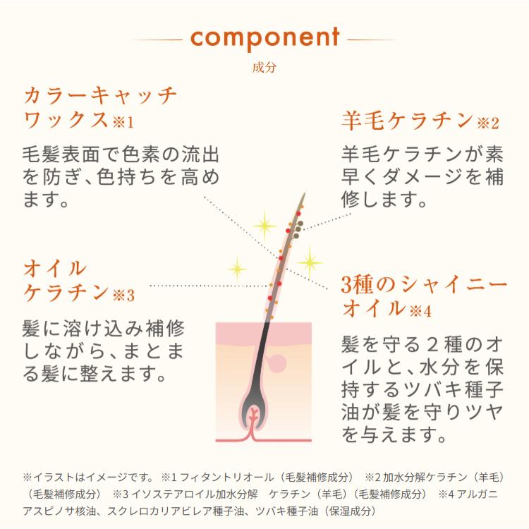 カラーケアコンディショナー 専用ボトル+詰め替え用 240g セット 無