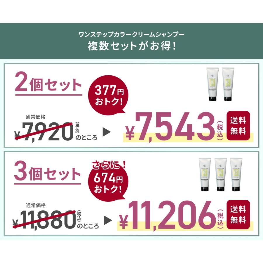 RISHIRIA One Step Color Cream Shampoo 2本 ワンステップカラークリームシャンプー2本セット 染める 洗う ダメージ