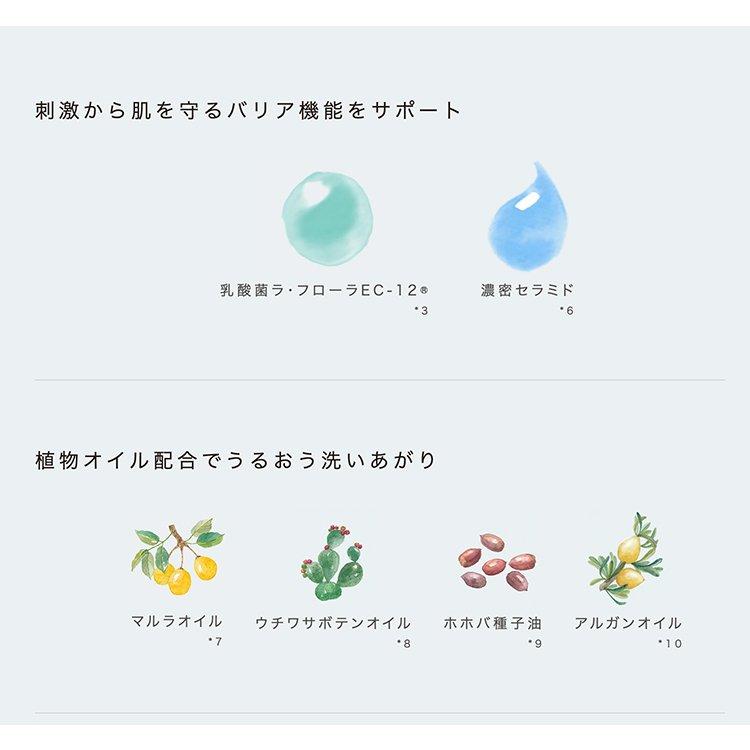 LIHAW モイストクレンジングジェル 300g 4種のCICAエキス W洗顔 LIHAW モイストクレンジングジェル 300g 4種のCICAエキス W洗顔
