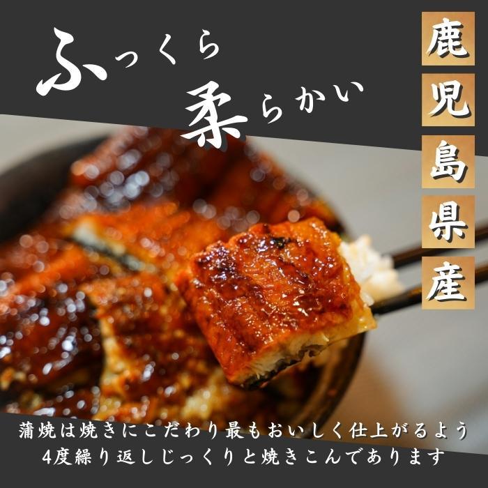 国産 鹿児島県産 うなぎ 蒲焼き 送料無料(本州のみ)「うなぎ蒲焼 160ｇ×2尾」無投薬 熟成 うなぎタレ 山椒付き 鰻 うなぎ ギフト｜sasuigeta｜03