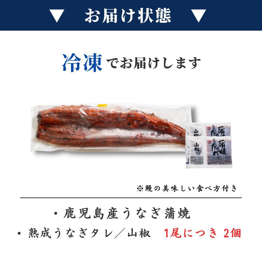 国産 鹿児島県産 うなぎ蒲焼 180ｇ×3尾 無投薬 熟成 うなぎタレ 山椒付き 鰻 うなぎ ギフト さかな_11