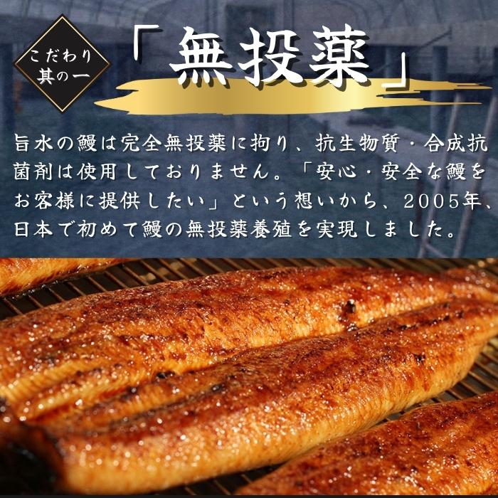 国産 鹿児島県産 うなぎ蒲焼 180ｇ×3尾 無投薬 熟成 うなぎタレ 山椒付き 鰻 うなぎ ギフト さかな_3