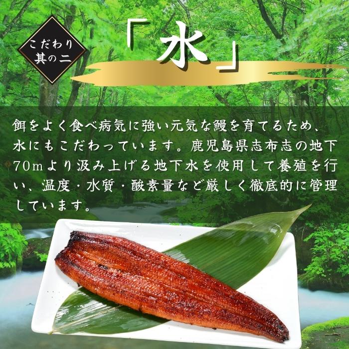 国産 鹿児島県産 うなぎ蒲焼 180ｇ×3尾 無投薬 熟成 うなぎタレ 山椒付き 鰻 うなぎ ギフト さかな_4