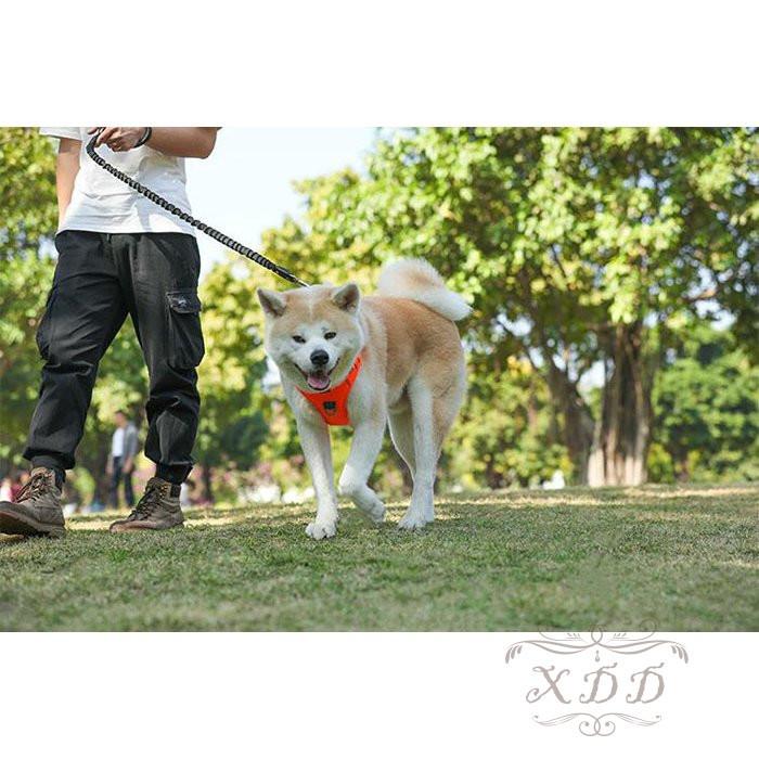 犬服 夏用 おしゃれ クール メッシュ おしゃれ 春夏 涼しい おもしろ コスプレ 犬の服夏用 安い 可愛い犬服 トイプードル 犬の服 サイズ L Www Bollywoodpapa Com
