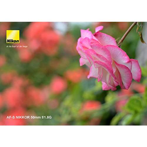 Nikon 単焦点レンズ AF-S NIKKOR 50mm f/1.8G フルサイズ対応 AF-S 50/1.8G_2