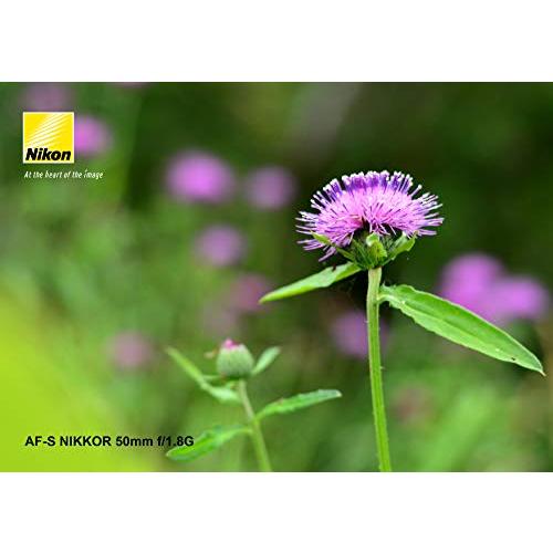 Nikon 単焦点レンズ AF-S NIKKOR 50mm f/1.8G フルサイズ対応 AF-S 50/1.8G_3